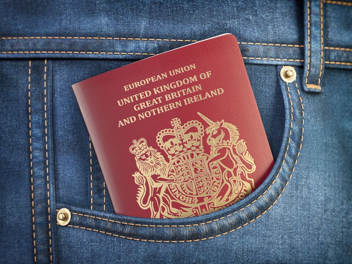 Navigating the World of Travel Insurance